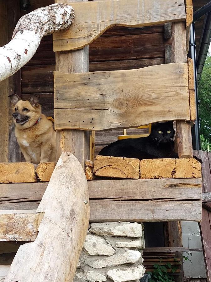 Agroturystyka Lipowewzgorze Domek Antek Tereszpol Extérieur photo